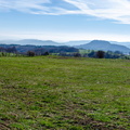 DSC 3940-Panorama